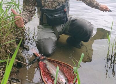 テスターS君の釣果釣果報告です