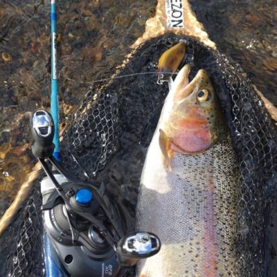 釣果報告：レインボートラウト＠道東河川